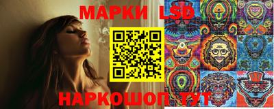 Альфа ПВП Тула