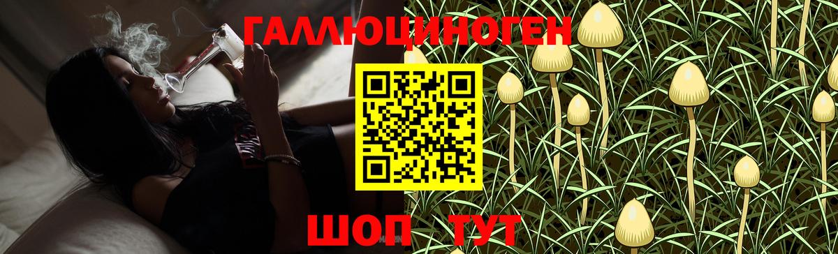 Галлюциногенные грибы Psilocybe  Вход с VPN  Галлюциногенные грибы мухоморы  Видное 